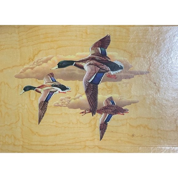 Vintage Haskelite Trays, Mallard Duck, set of six serving trays, vintage lithogr - Picture 7 of 9